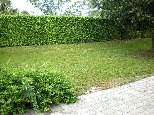 6871 Spider Lily Ln, Lake Worth, FL 33462 | Zillow