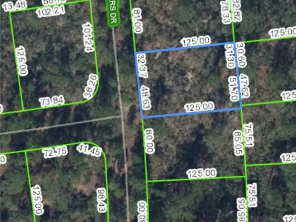 261 Dreamers Dr, Lake Placid, FL 33852
