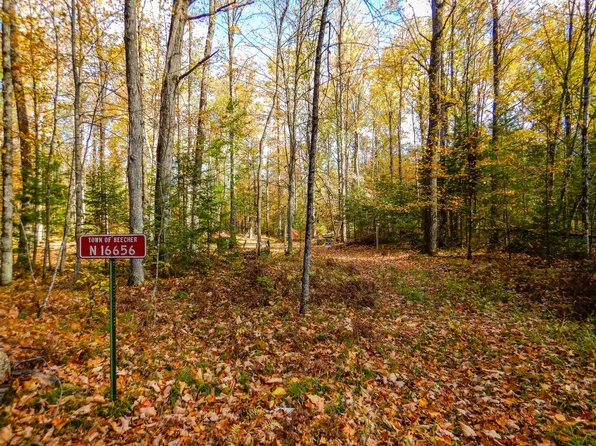 N16656 Dexter Dr, Pembine, WI 54156