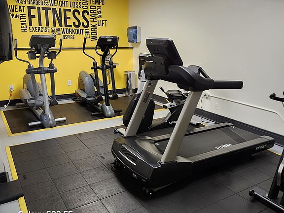 free weights, machines, cardio, matts
