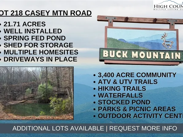 Lot 218 Casey Mountain Road, Purlear, NC 28665