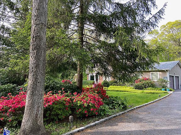 2nd image of 49 Buttonwood Dr