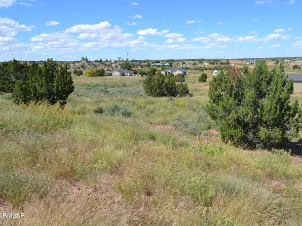 TBD Chris Lane #023Z, Taylor, AZ 85939