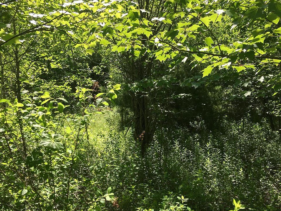 45 Campground Rd Searsport, ME, 04974 Apartments for Rent Zillow
