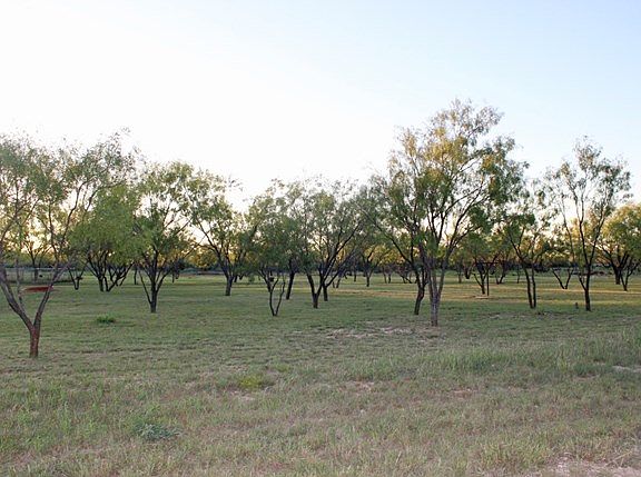 2nd image of 12530 W State Highway 158