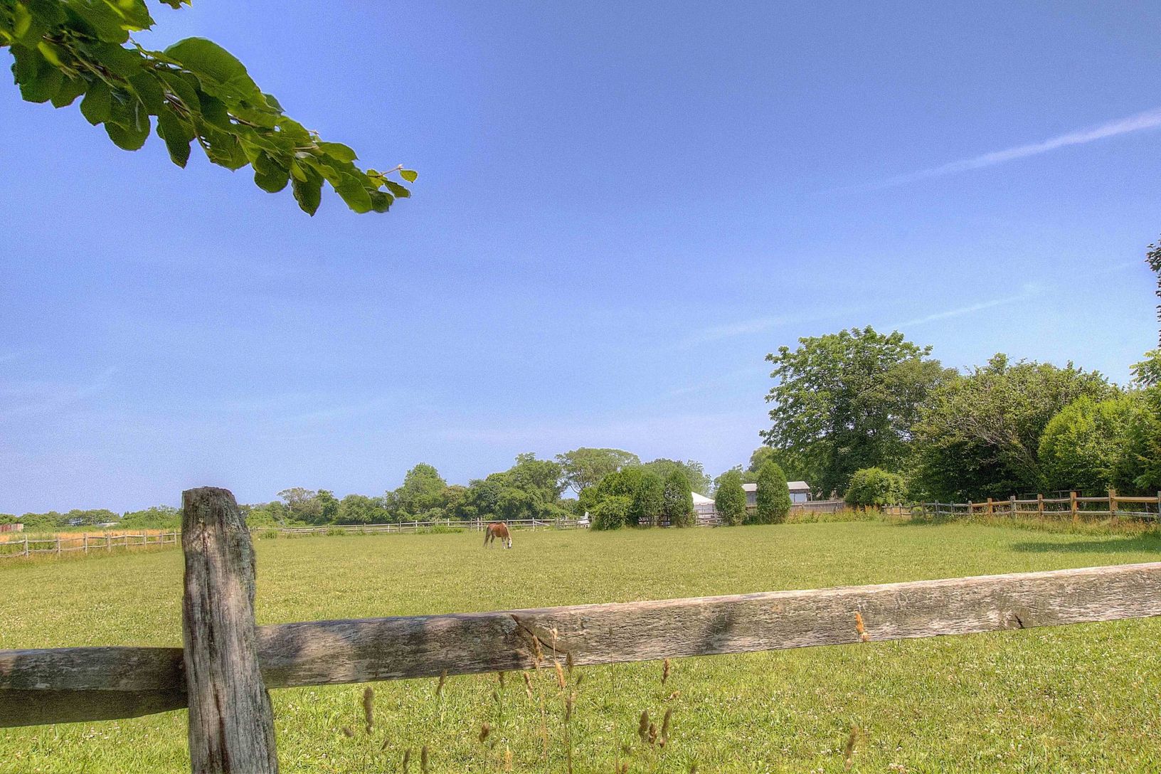 Local Scenes 