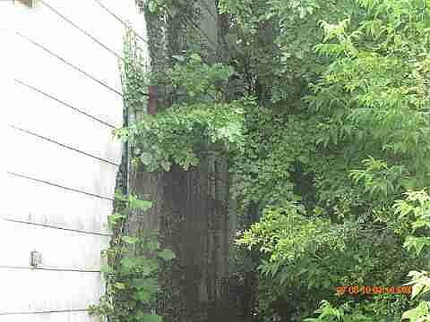 19809 Oakfield