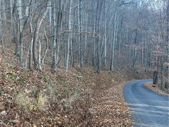 37 Seven Glens Dr, Weaverville, NC 28787