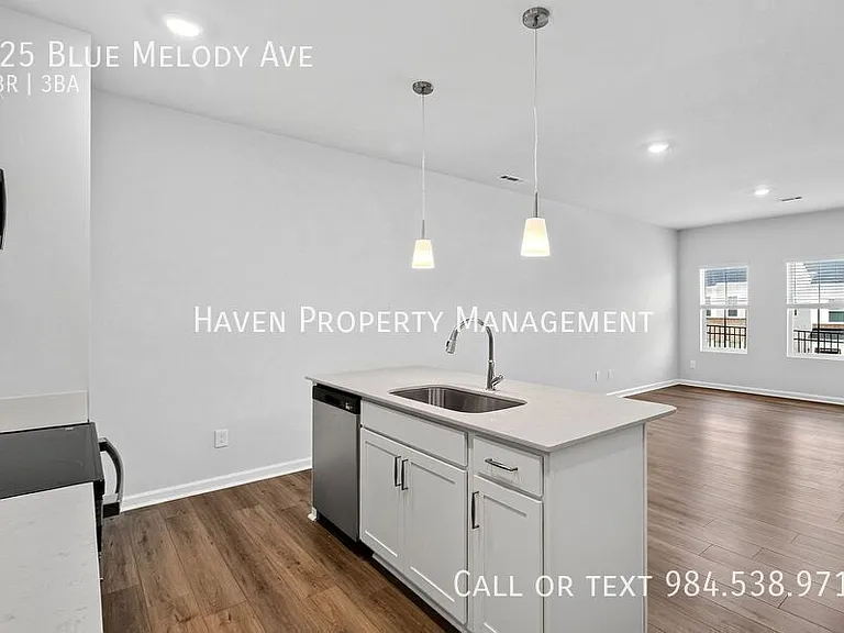 125 Blue Melody Ave — Photo 12