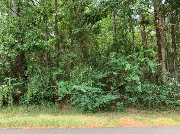 Nhn Ridgeview, Carriere, MS 39426