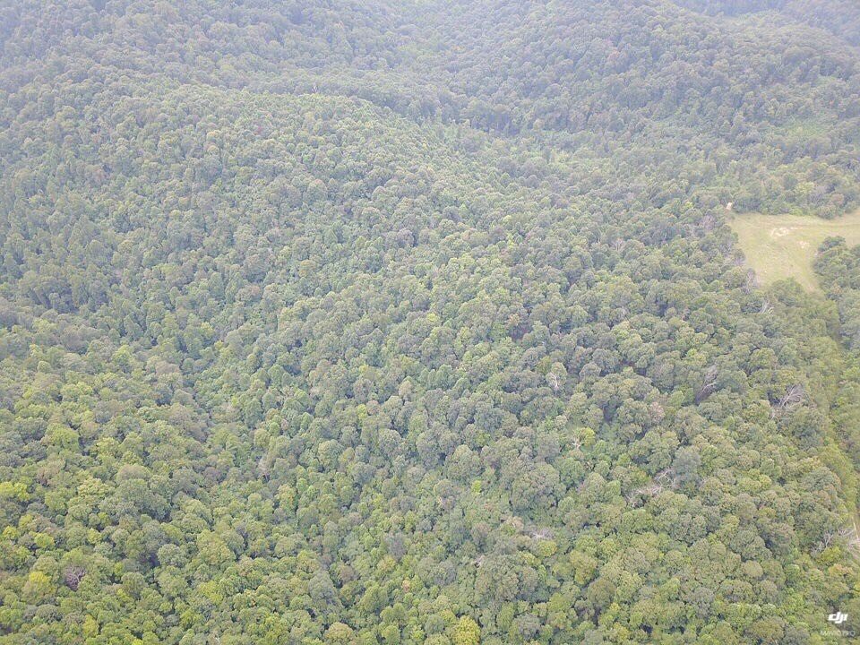 2nd image of Lutz Hollow Rd