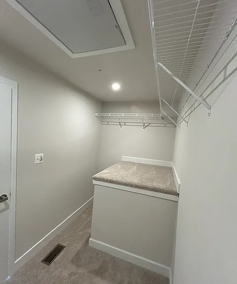 3rd floor master bedroom walk-in closet with a raised carpet shelf