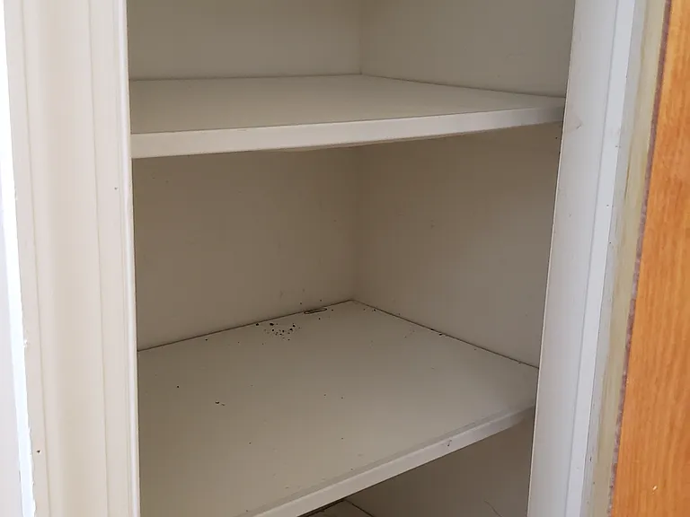 1412 Ocean Ave #4C — Photo 14