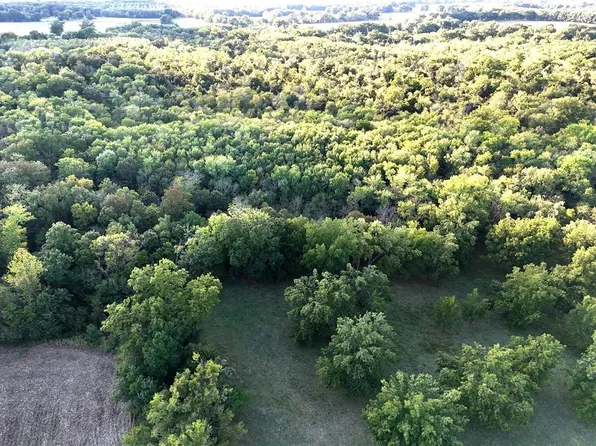 1 E Moles Rd, Deerfield, MO 64741