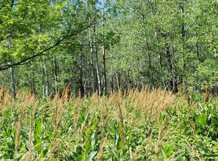 30965 Petrin Rd, Mason, WI 54856