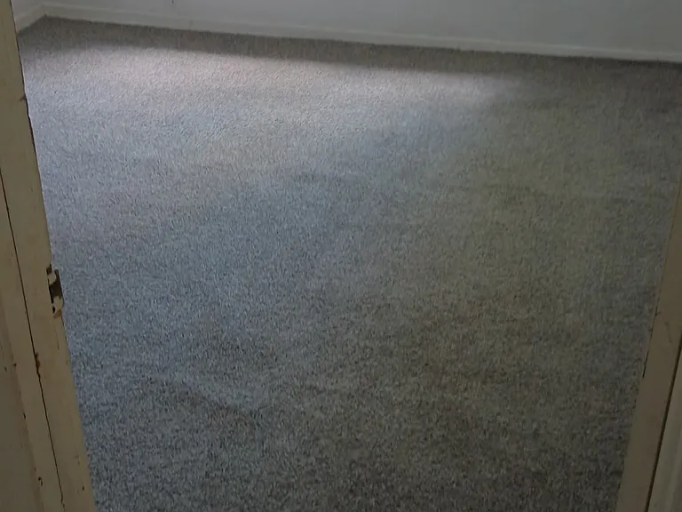 1305 E Locust St #B — Photo 3