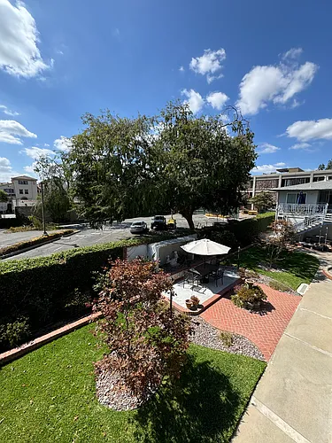 251 N El Molino Ave #8 Photo 1