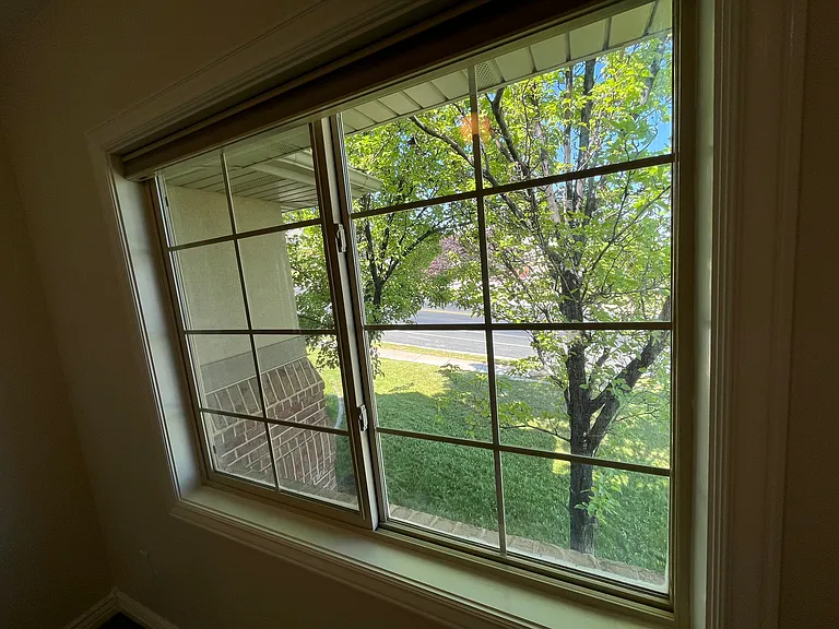 View from Bedroom