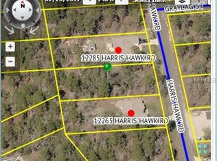 12275 Harris Hawk Rd, Weeki Wachee, FL 34614