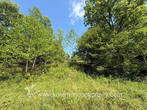 4th image of 916 Grasslick Rd