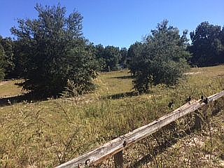 4th image of 17335 SE 130th Ave