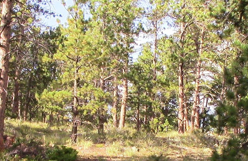 1st image of 24210 W County Road 74e