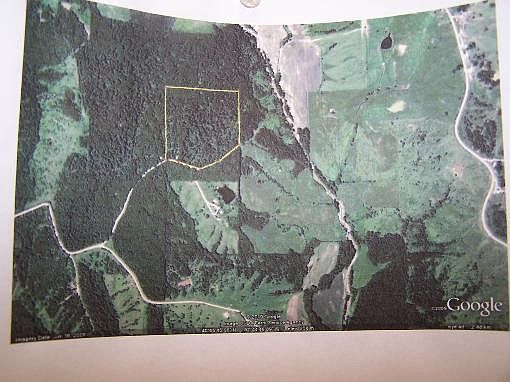 4th image of 27020 Deerwood Trl