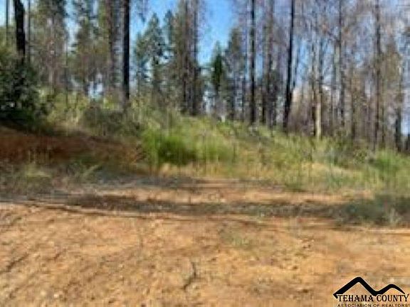 2nd image of 42 Starcrest Ln
