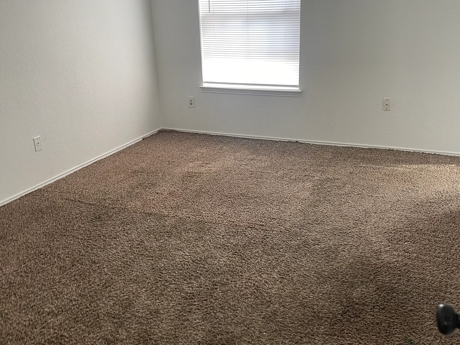3 bed, 1252 sqft, $1,650 — Photo 3