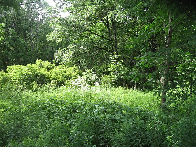2nd image of Oak Way Lot 250