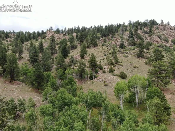 76 Crocus Cir, Florissant, CO 80816