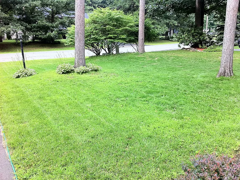 173 Arrowwood Pl #173 — Photo 56