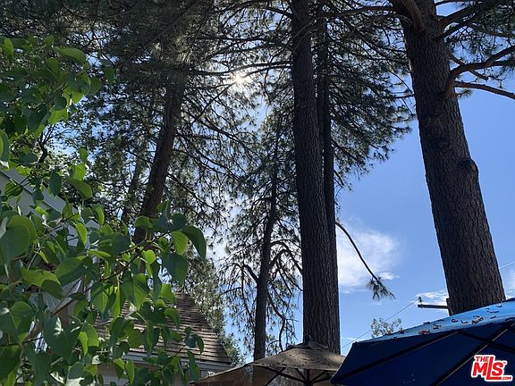 3rd image of 24747 San Moritz Dr
