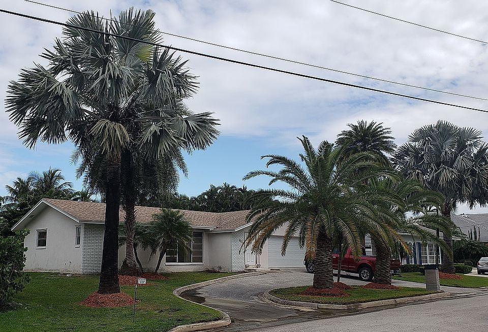 1st image of 41 Bimini Cove Dr