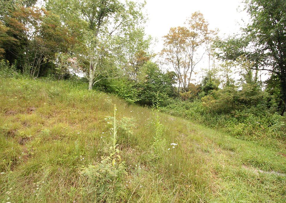 132 Point Lookout Ln, Independence, VA 24348 Zillow