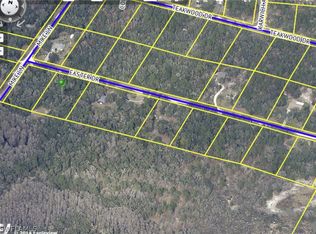 33064 Easter Dr, Webster, FL 33597