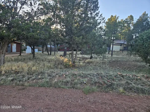 3332 Forest Dr, Overgaard, AZ 85933