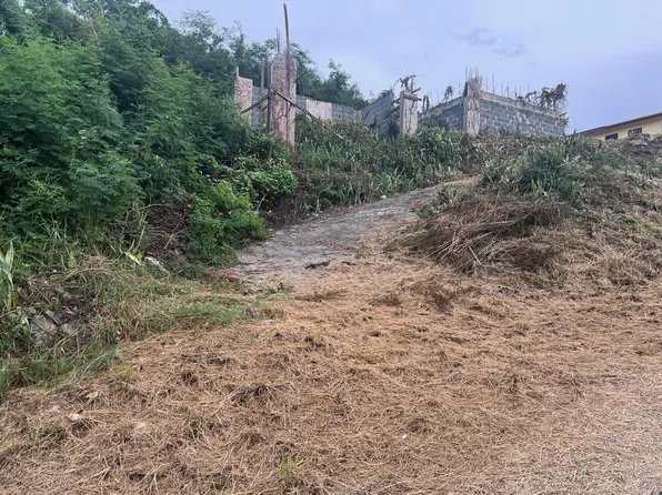 195 Ruby (Diamond) QU, St. Croix, VI 00820