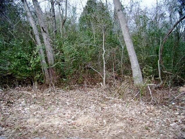 2nd image of 6 Bumpus Mills School Rd