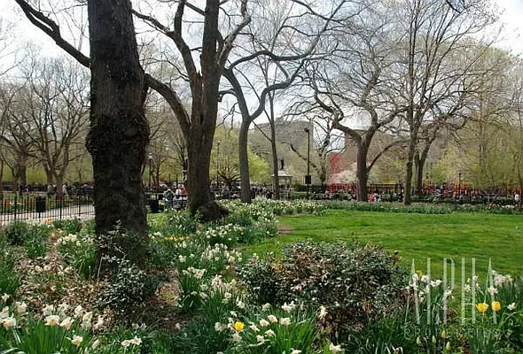 Rented by Alpha Properties NYC I LLC | media 69