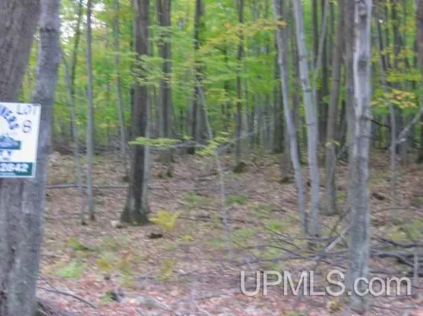 Campbell Lane Pcl 8 #T, Florence, WI 54121