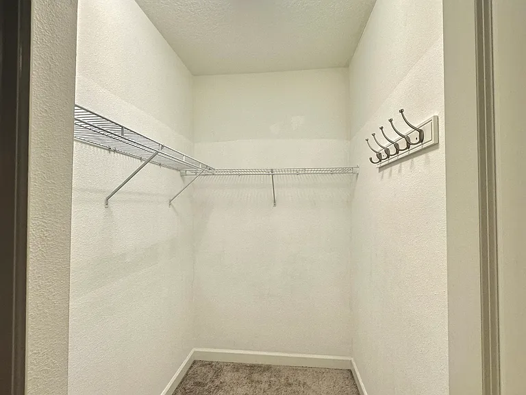 11066 Whistling Pine Way — Photo 18