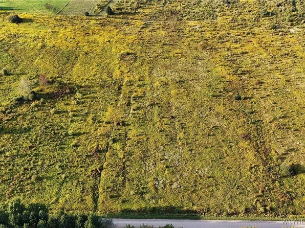 0 Clark Rd, Franklinville, NY 14737