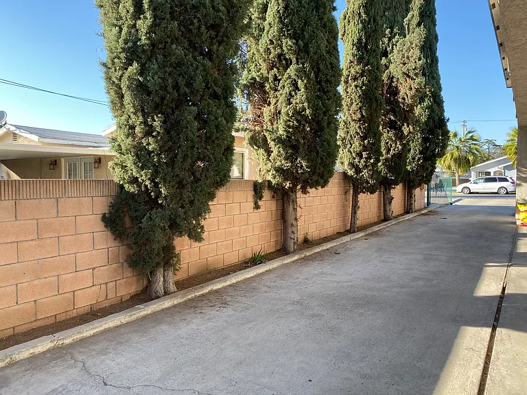 352 E College St — Photo 13