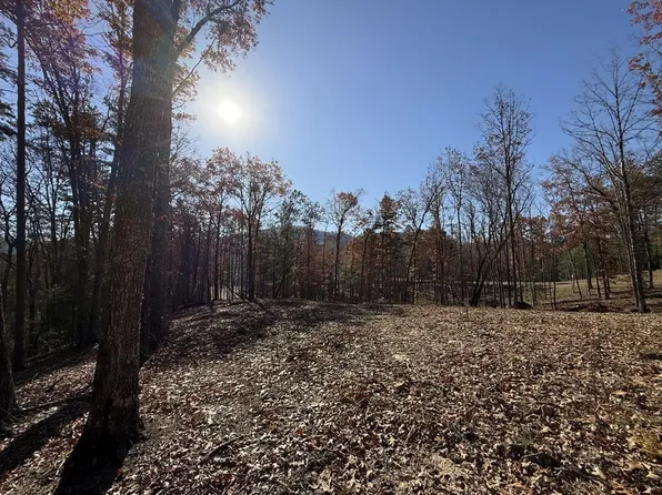 24 Crestview Point, Mineral Bluff, GA 30559