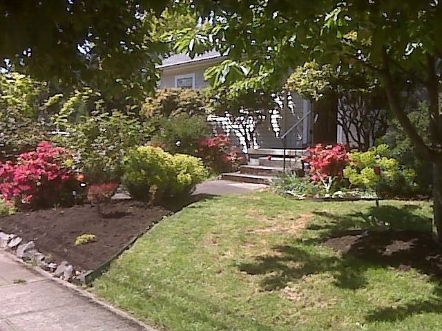 Front garden