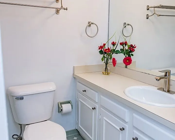 817 Botetourt Gdns — Photo 32