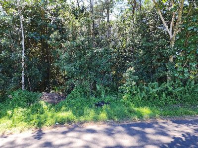 239 31st Ave, Keaau, HI, 96749