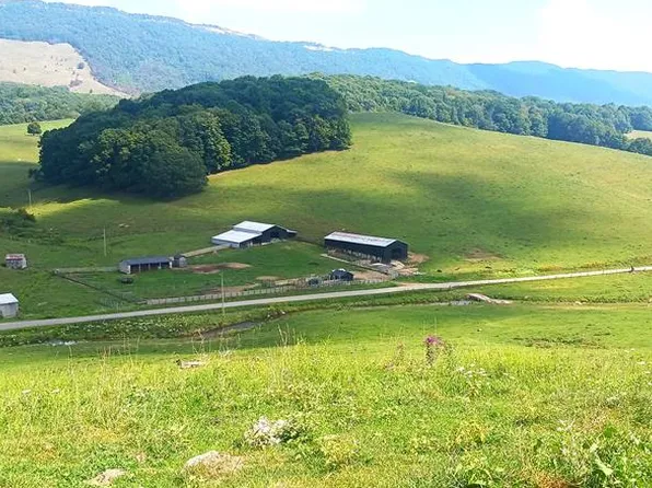 819 Laurel Bed Rd, Tazewell, VA 24651