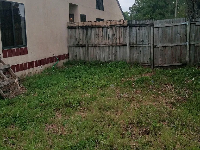 Backyard